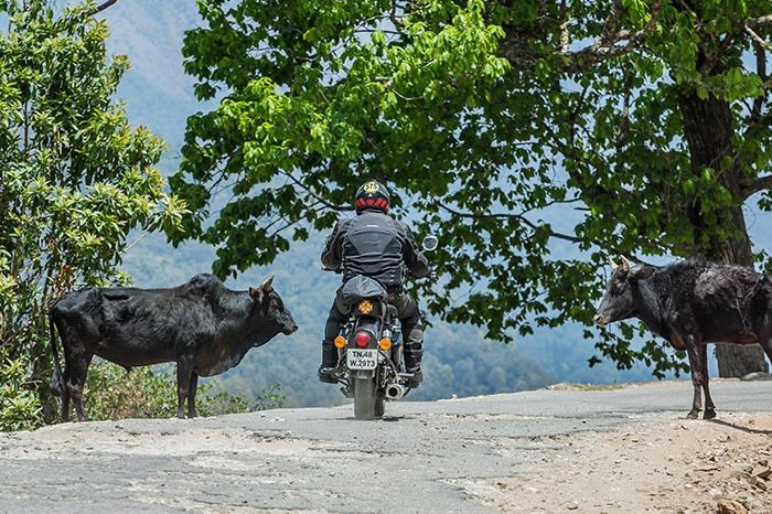 Bhutan en Moto Motorcycle Tour 3 - Sermarolid